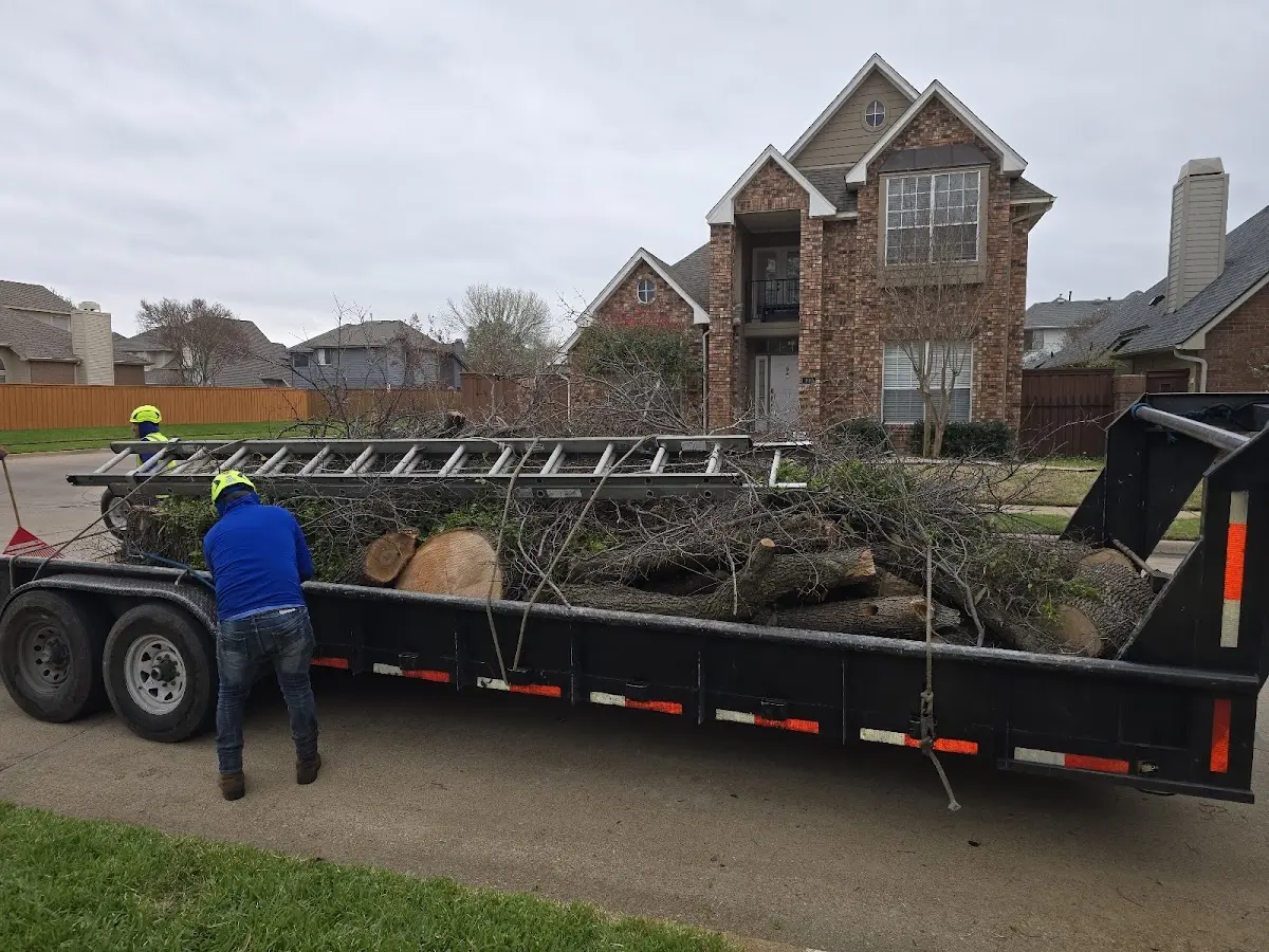 Expert Tree Pest Control with proper safety equipment in Dubuque